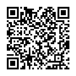 只见十几米外一名刚从机场逃出来的胖女人挥舞着双手二维码生成