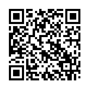 只见南宫流云原本飞出去的十三个古神文字二维码生成