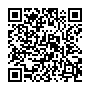 只见原本散发着乳白色光芒的胎膜被大片的血色笼罩二维码生成