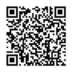 只见变异池中的四头太古绿剑龙兽的身体又开始膨胀二维码生成