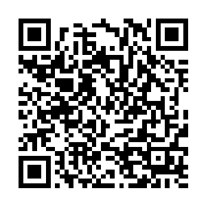 只见噬灵鼠皇挥舞着一对小爪子满脸凶光的望着自己二维码生成