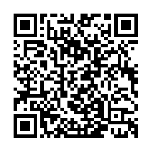 只见在那只断了三根手指的手掌中心静静躺着一枚圆形的信号蛋二维码生成