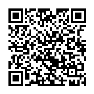 只见地面上喷溅的鲜血竟然流淌形成了一朵悠然绽放的血二维码生成