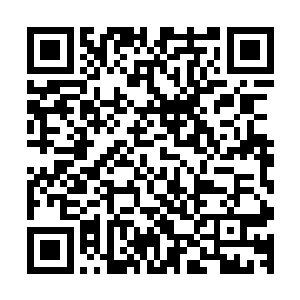 只见坐在旁边吃着疗伤药疗伤的人满脸激动的看着走来的三人二维码生成