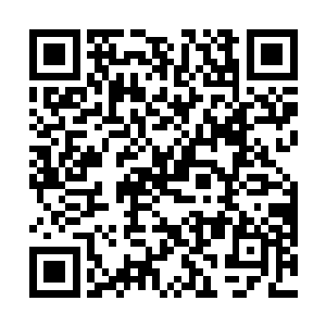 只见她忽然瞪大了双眼有些不可思议的看着眼前的林辰二维码生成