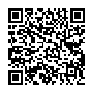 只见她手中正拿着那一枚查虎交给他的水晶球一般的传讯之物二维码生成