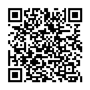 只见她有些苍白的面容上逐渐浮现出一丝羞红来二维码生成