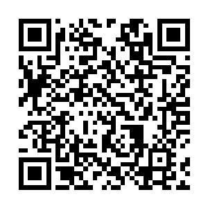 只见她缓缓从破了一个小洞的挎包了掏出刚才那把手枪二维码生成
