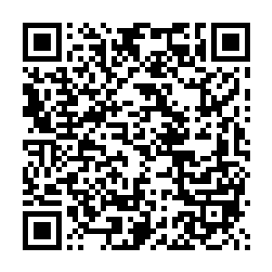 只见它的身体表面有着一道碗口大的血洞在往外冒着黑紫色的鲜血二维码生成