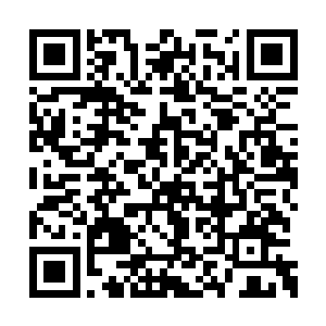 只见安道全此时回身哀求那将他挟持着的大汉道二维码生成