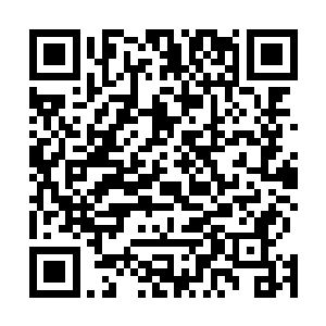 只见宫莫仇的身体在漫天的剑气的笼罩之下也不断的抽搐二维码生成