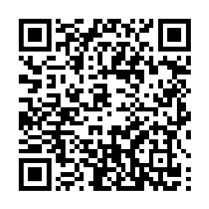 只见对剑尘进行核心成员仪式的五长老从远处走了过来二维码生成