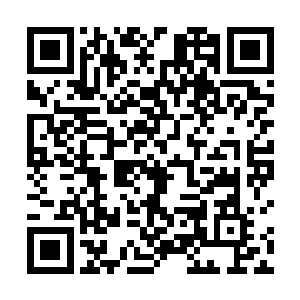 只见小东西如同炸了毛的猫儿一般从她的怀里跳了出去二维码生成