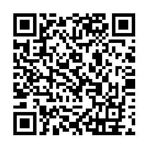 只见小岩的后颈上的的确确有一块如血丝一样的红块二维码生成