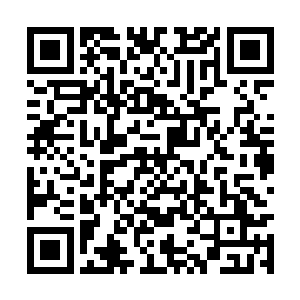 只见小龙和小凤凰都是圆溜溜的睁着无辜的大眼睛二维码生成