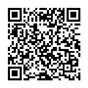 只见就在伊芙琳等人准备出手全力阻截那白骨天使的时候二维码生成