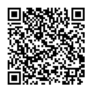 只见就在楚旬等人以为可以利用周天星斗大阵暂时挡住天罚的时候二维码生成