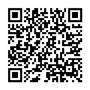 只见就在盘古之灵被楚旬接引进自身识海的瞬间二维码生成