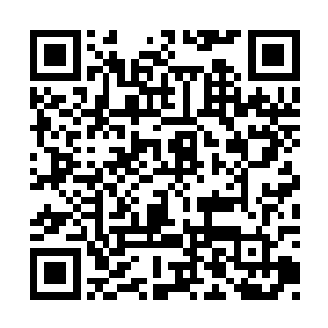 只见就在禺狨王眼看就要被这金人给吞噬的时候二维码生成