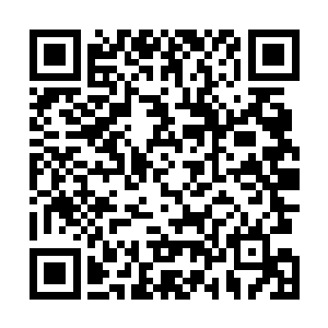 只见就在这机械巨兽体内的倒计时进入到最后十秒的时候二维码生成