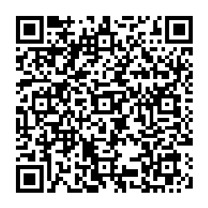 只见就在那些能量狂潮和法宝碎片在周天星斗大阵所形成的无尽星空中继续席卷四方二维码生成