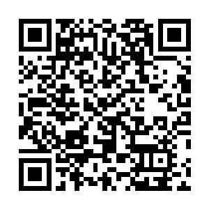 只见就在那八道蕴含着各种元素力量的能量光束划破虚空二维码生成