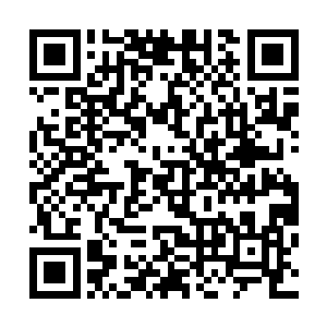 只见就在那其中一条血色巨蟒以极快速度冲向那禽皇的时候二维码生成