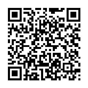 只见就在金甲巨神挥起左臂朝那金人发起进攻的时候二维码生成