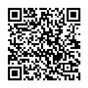 只见帝王神器在剑尘的手中已经完全化为了一片残影二维码生成