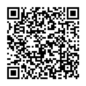 只见庞大如巨物的金睛玉雪卷毛狮子整个身体在半空中倒转一百八十度二维码生成