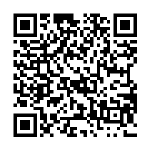 只见恶龙之魂的眉心之中骤然间出现了一道诡异的符文二维码生成