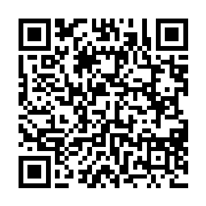 只见手指上一点点金黄色的东西正慢慢的朝手指里面渗去二维码生成