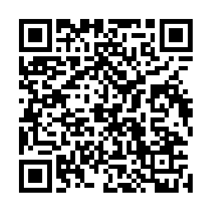 只见排在队伍两边的助教眼疾手快地打开机甲的炮台发射器二维码生成