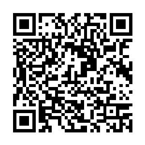 只见数日来毫无动静的大阵上忽然亮起了点点微光二维码生成