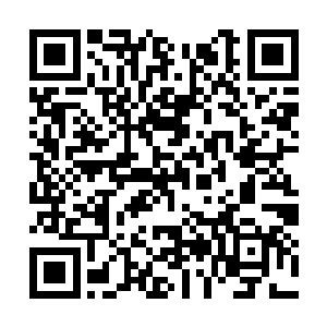 只见无垢之气一个闪烁间便脱离了五大仙尊的包围二维码生成