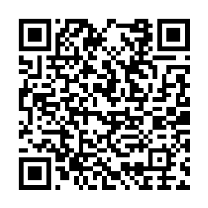 只见无数的僵尸已经开始冲进的地面上的修士之中二维码生成