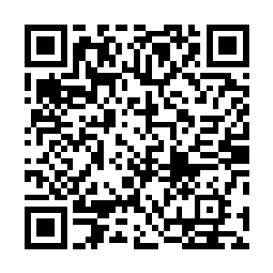 只见本来非常强势的独孤傲风如同一个断了线的风筝一般二维码生成