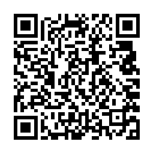 只见林辰眼前的紫色怪物不断发出震耳欲聋的吼叫声二维码生成