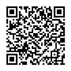 只见此时黑袍人的目光也落到了嗜血鬼蝠的身上二维码生成