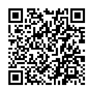 只见水晶圣宫的防御光幕也开始疯狂的闪烁起来二维码生成