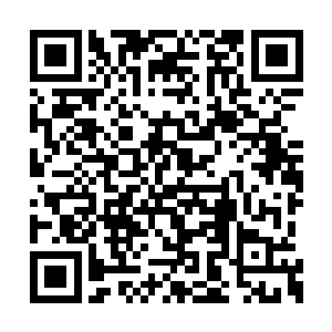 只见沈扬接过一张墨无忧写好的药方递了过去道二维码生成