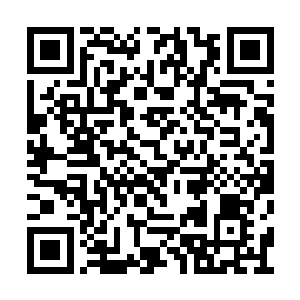 只见洪亚伦和农民正站在上面警惕的瞭望着四周二维码生成