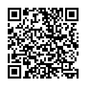 只见源魔峰的主峰之上顿时多了一个近千米的巨大的手掌二维码生成