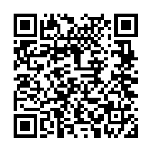 只见澹台明月那原本明亮的双眼竟来回转动了几下二维码生成