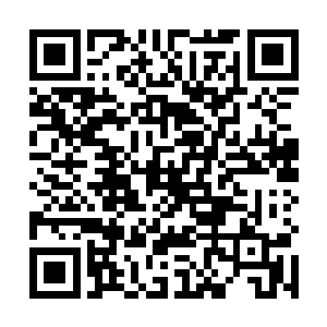 只见男子的身子连同手中的砍刀顿时被苏凡拍到了一边二维码生成