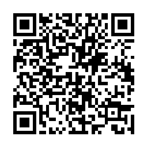 只见男子身后那些陆陆续续朝着苏凡冲过来的人群二维码生成