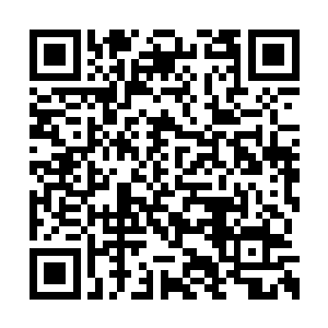 只见眼前的这些黑衣保镖完没有丝毫的抵抗能力二维码生成