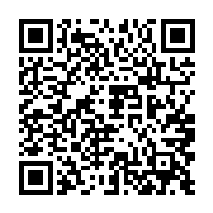 只见眼前突然出现了一大群妖兽每一头都有气宗级别二维码生成