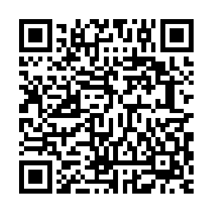 只见穆凡君慢慢后退所面对的那具棺材里出现了强悍的法力波动二维码生成