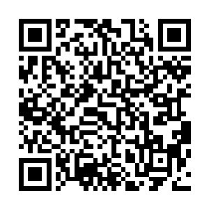只见站在最前面的那数十个弟子竟然都是一些非常小的孩子二维码生成